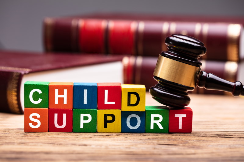 Child Support Law